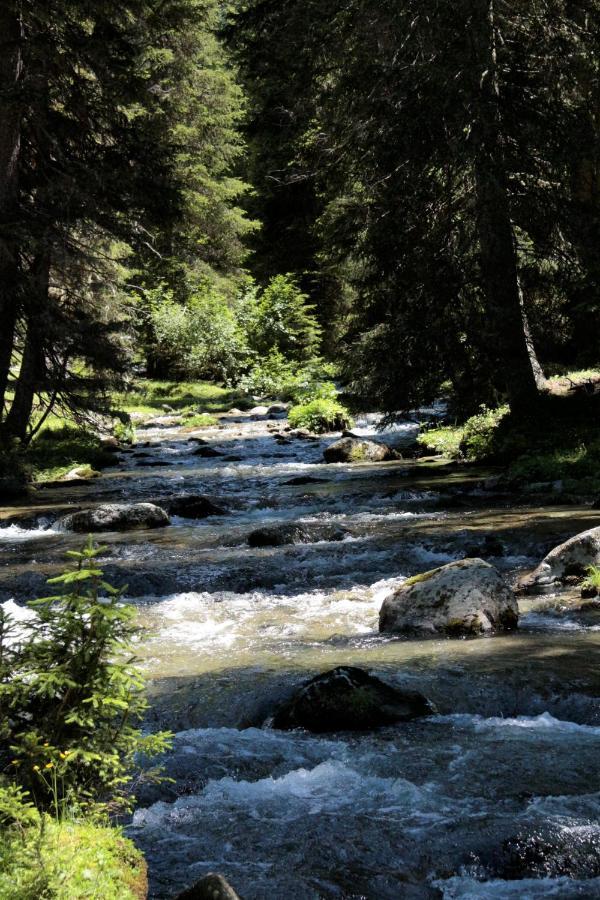 Bergnest Oetztal - Appartements Umhausen Exteriör bild
